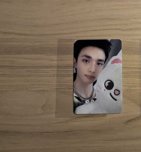 Stray kids photocard - stray,