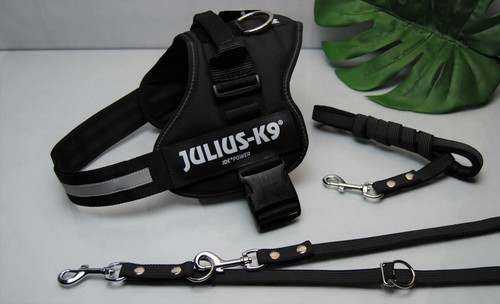 Set julius powergeschirr - set, julius-k9