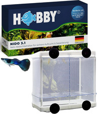 Hobby Nido 3.1 Ablaichkasten