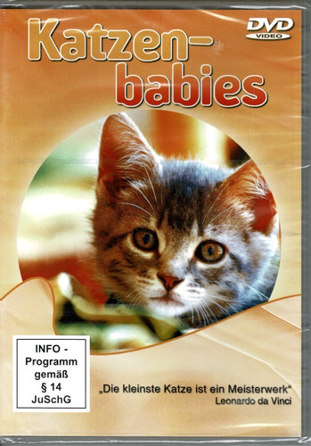 Katzenbabies dvd neu ovp katze - katzenbabies,