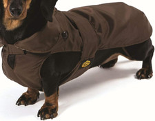 Fashion Dog  warmer