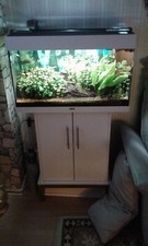 aquarium komplett mit unterschrank gebraucht 125 Liter Juwel Rio mit Co2 Anlage