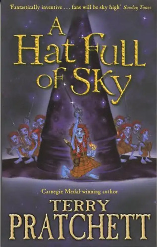 Hat full sky terry - a,