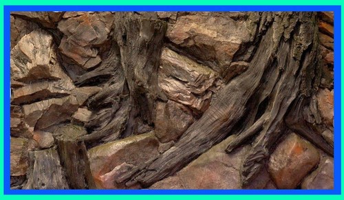 Aquarium rückwand - 3, d