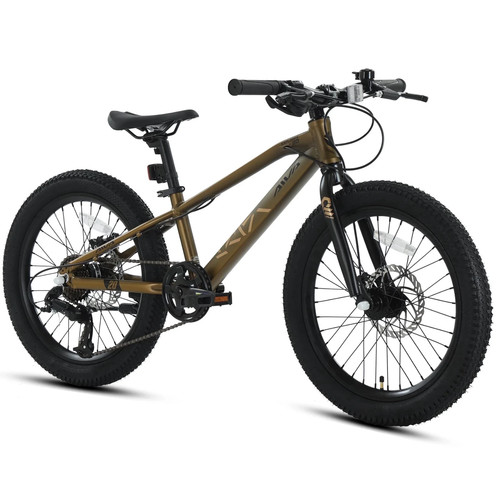 Aiva mountainbike 7 - 20",