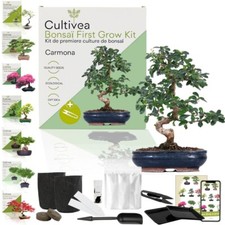 CULTIVEA® Bonsai-Set First Bonsai – Komplettes Set mit Bonsai-Samen