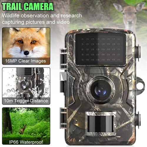 Wildkamera mit nachtsicht - mit,
