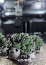 Shaun das Schaf Nacktkiemer /