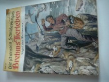 Die schönsten Schilderungen aus Brehms Tierleben, Vögel der Weltmeere, Heft 41