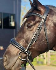 Schimmerndes Leder Dressur Pferd Trense Kristall Berg Stirnband mit Lack Nase...