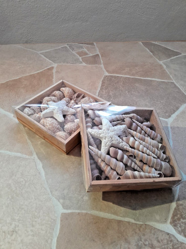 Set strandmuscheln - 2-er,