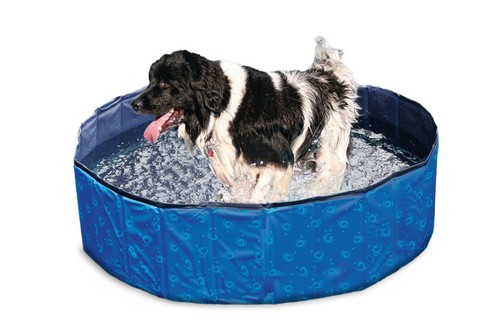 Karlie doggy pool - karlie,