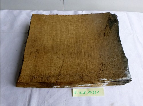 Mooreiche moorholz 2000 - moorholz, jh
