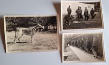 3 x Foto BGS Bayern , wohl