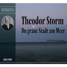 Theodor storm graue stadt - graue,
