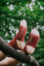 Banana Skate Classics Sock