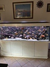 Aquarium Anlage 200x60x60