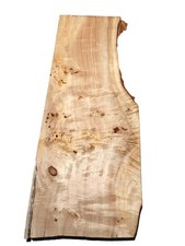 1x Pappel Maser Holz