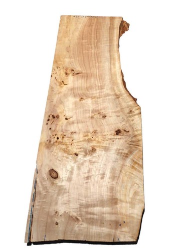 Pappel maser holz - pappel,