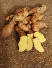 5 Kg Kartoffeln Bamberger