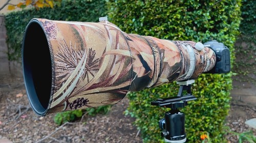 Canon 400mm l is - l,