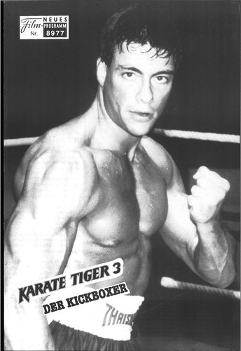 Nfp 8977 karate tiger - karate, 3