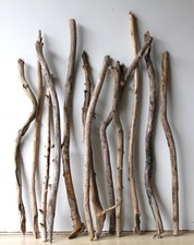 Treibholz Schwemmholz Driftwood  12 XL  Äste  Garderobe  Dekoration 68-91  cm