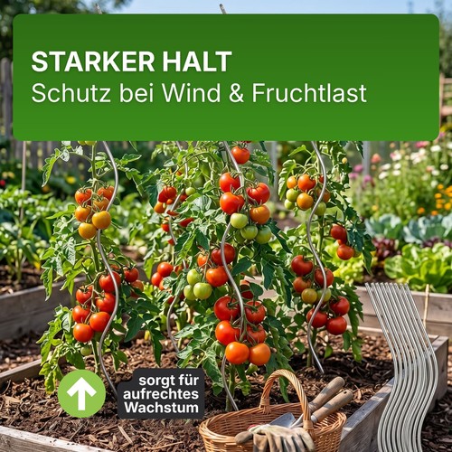 Tomatenspiralen aus stahl - stahl, Ø