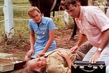 Die fliegenden Ärzte: Die