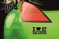 A 799 - I love my Haflinger