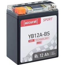 Motorradbatterie YB12A-A Gel