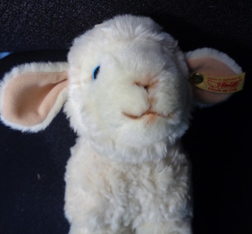 Sweet steiff white - steiff,