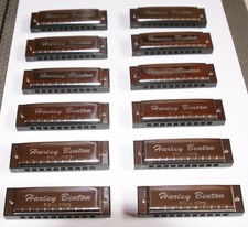 Harley Benton Blues Harp Set / 12 Mundharmonikas