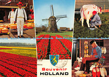 D046108 Souvenir Holland. Tulpenfelder. Käse. Windmühle. Vita Nova. Multi View