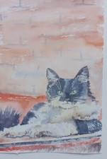 Aquarell bild katze tiere - bild., .