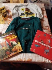 Dinosaurier Pullover Und Bücher Paket Set Gr 122 und 128