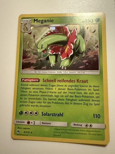 Meganie 214 echo - meganie, des