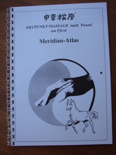 Akupunktur massage nach penzel - akupunktur-massage,
