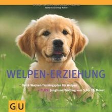 Welpen-Erziehung: Der