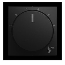 Busch-Jaeger Zentralscheibe