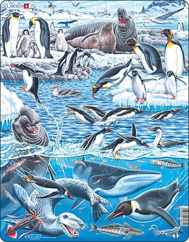 Puzzle kalte und - puzzle,