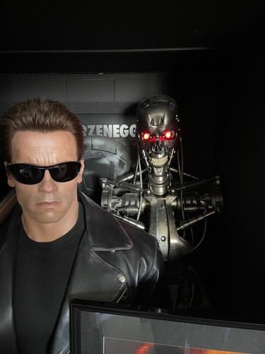 Terminator t800 life - terminator,