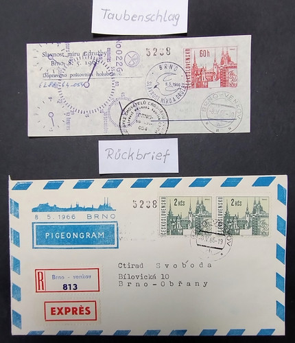 Pigeongram 1966 ab brno - pigeongram,