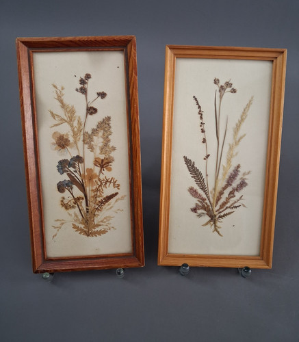 2er set strohblumen bilder - set,