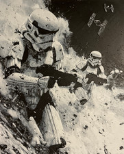Stormtroopers Portrait