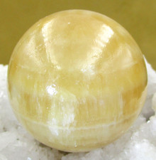 CALCIT    ORANGE  XXL