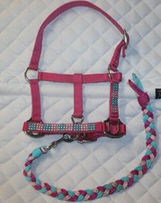 STRASS MINISHETTY