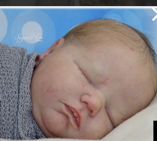 Reborn puppen set - reborn, landon..