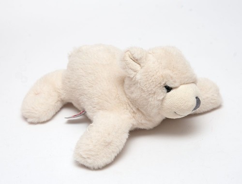 Sigikid eisbär bär liegend - eisbär,