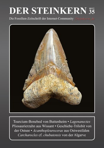 Der steinkern buttenheim - 35:,